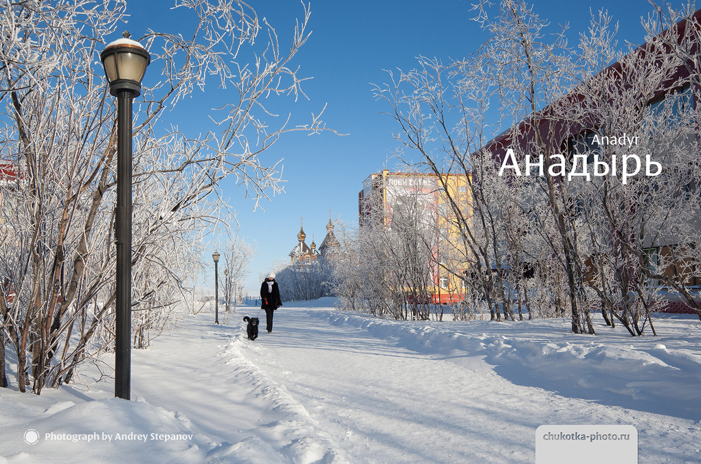 Анадырь (аллея на улице Дежнёва)