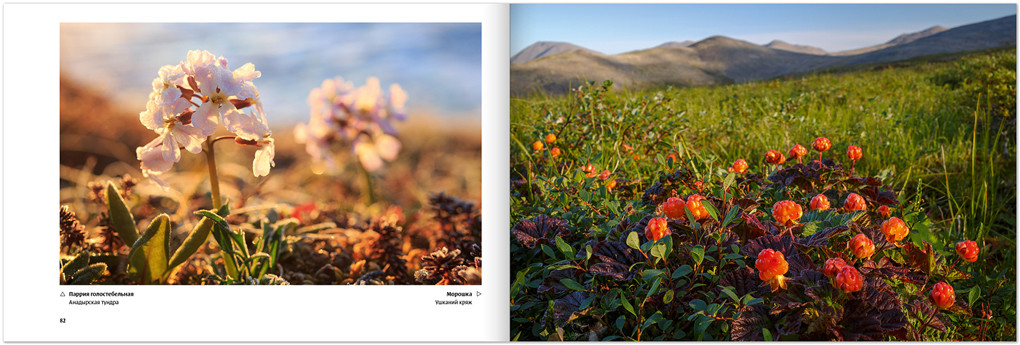 Книга «Удивительная Чукотка. География впечатлений» (Book “Amazing Chukotka. Geography of impressions”)