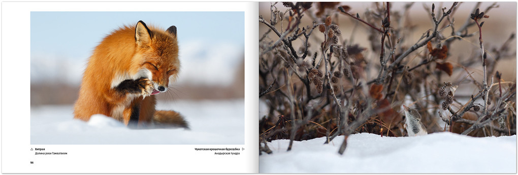 Книга «Удивительная Чукотка. География впечатлений» (Book “Amazing Chukotka. Geography of impressions”)